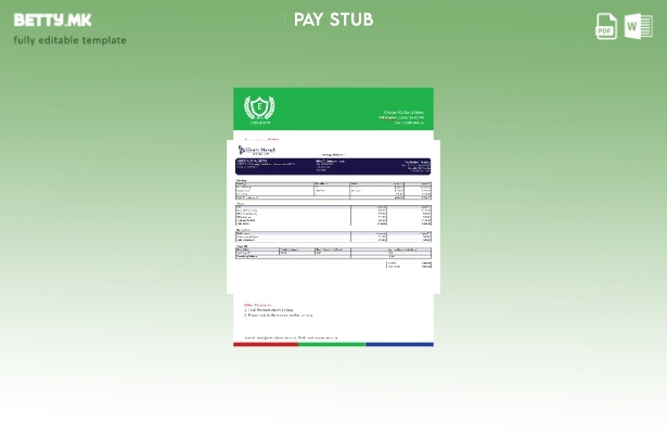 Модерен стил шаблон верзија на изводот за заработка од осигурување во САД